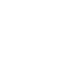 Rodeo Bull Hire